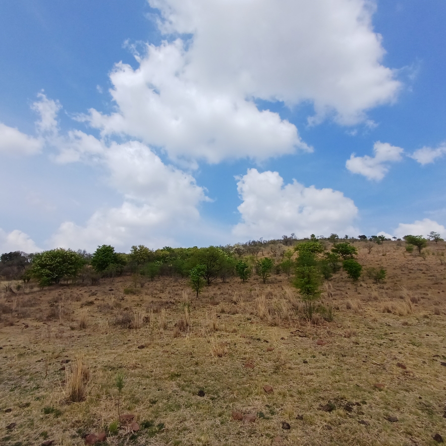 0 Bedroom Property for Sale in Lindequesdrif North West